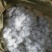 鲁棉研28棉花1级31mm