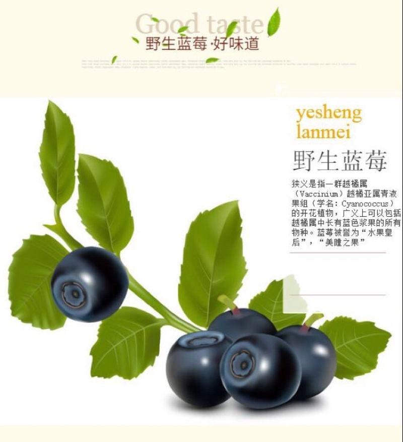 蓝莓干