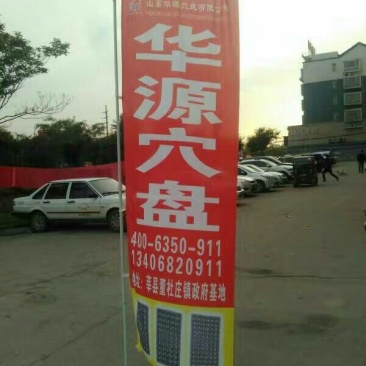 穴盘32孔