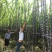 黑皮甘蔗产地大量直销，一手货源！可以找回头车