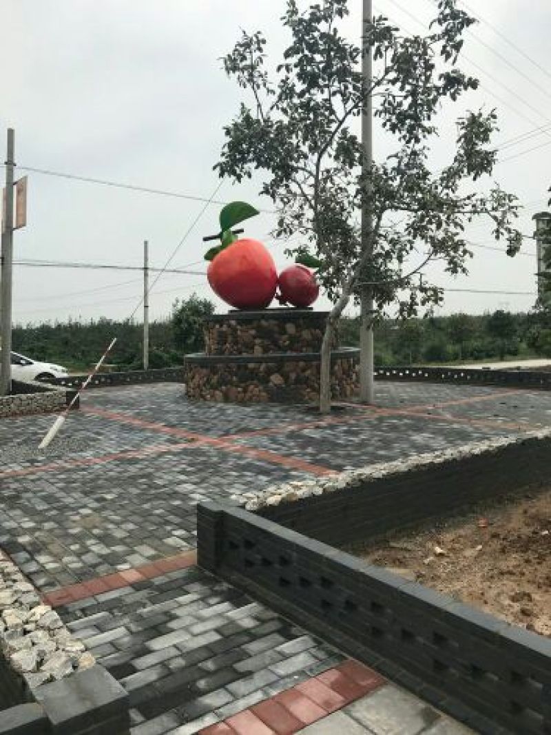 柿饼1~2两
