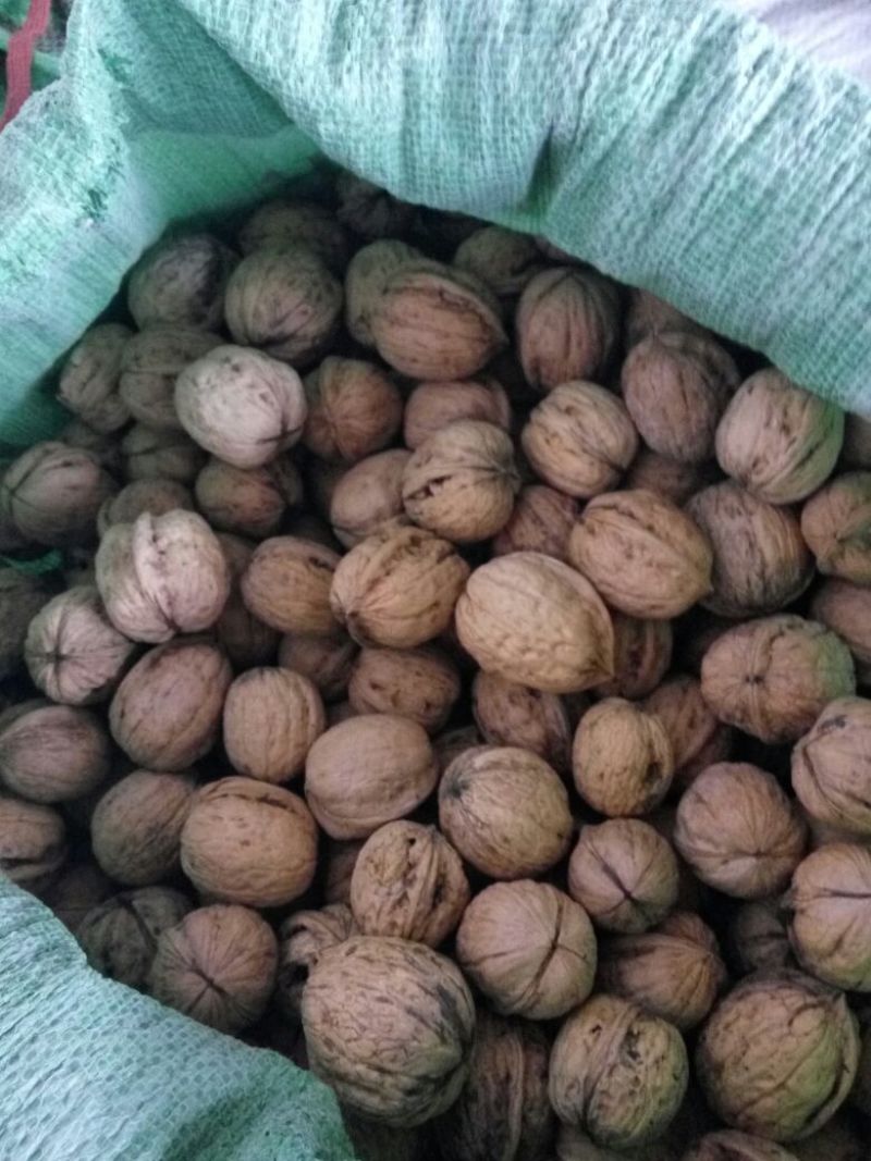 清香核桃30mm以上去皮干