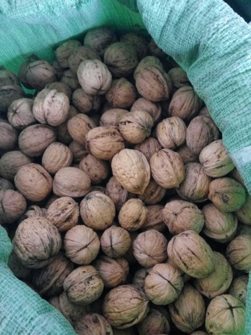 清香核桃30mm以上去皮干