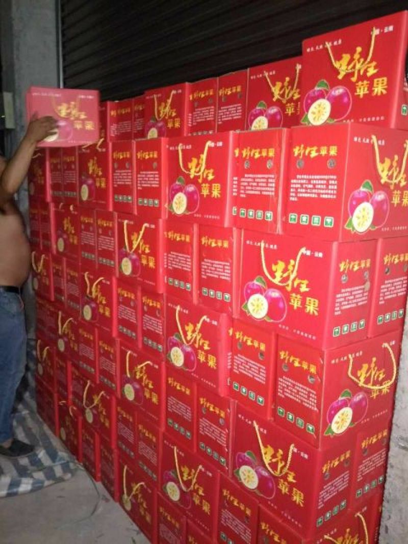 大凉山红富士糖心苹果非昭通苹果产地直发支持一件代发