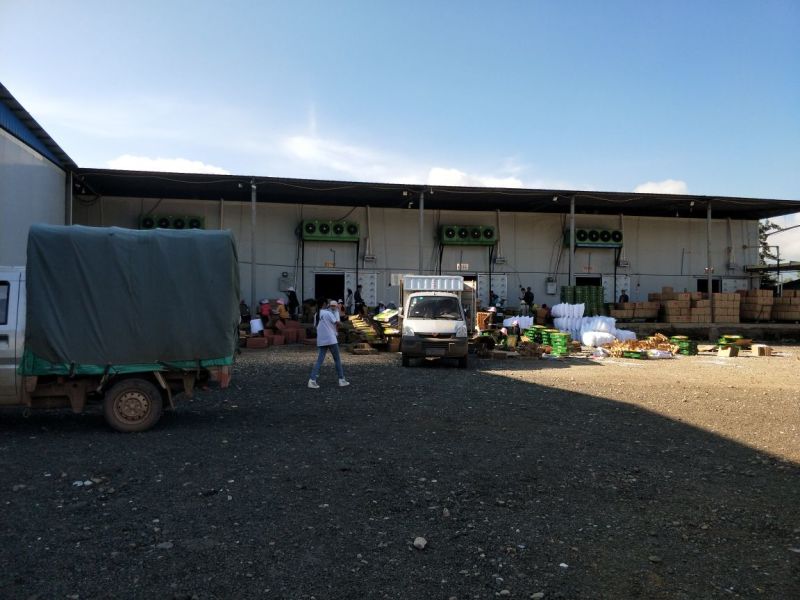 大凉山红富士糖心苹果非昭通苹果产地直发支持一件代发