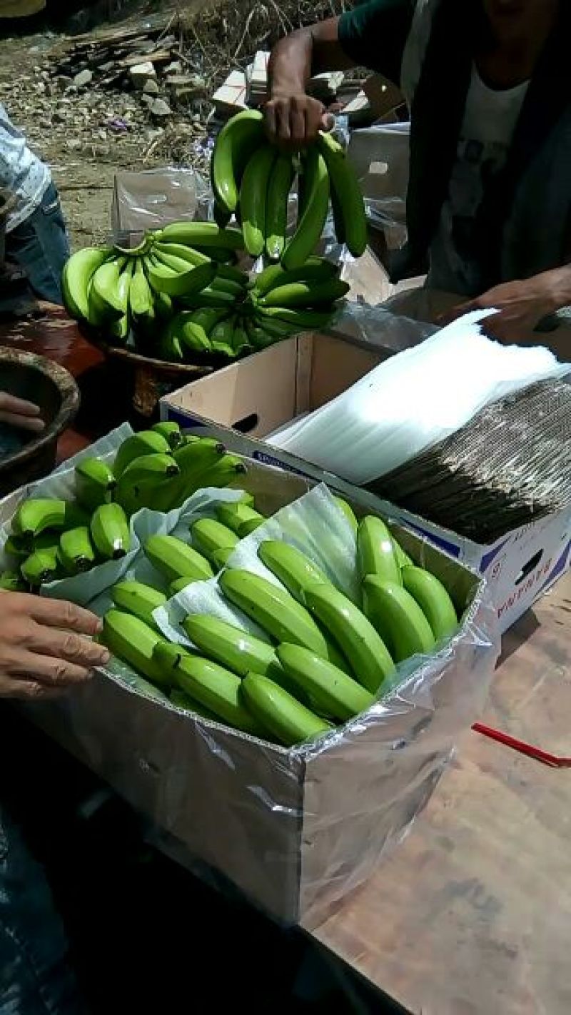 元阳基地货大量上市需要的联系我