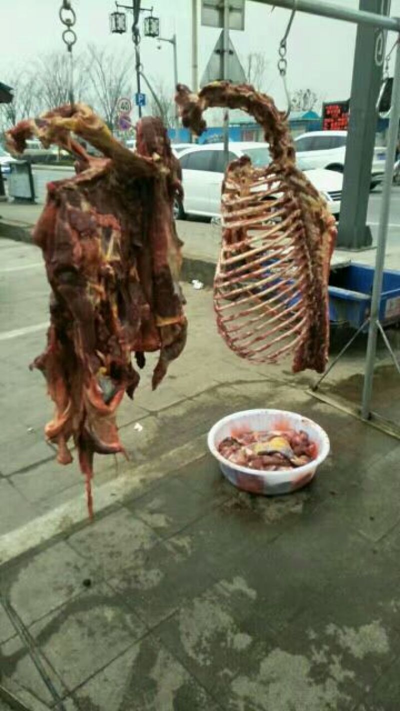 驴肉鲜货