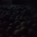 中秋王苹果80mm以上纸+膜袋