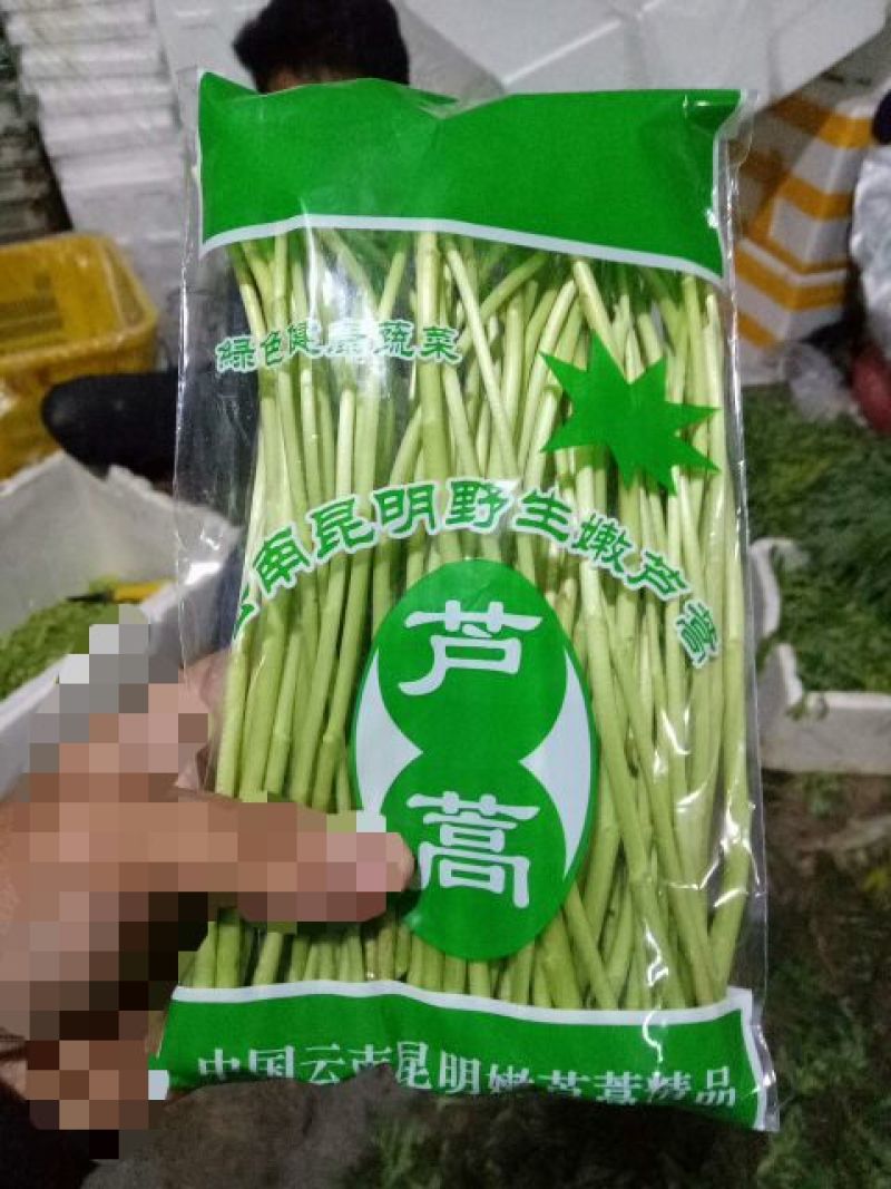芦篙