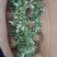 草莓苗20~30cm