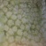 大白菜7斤以上毛菜