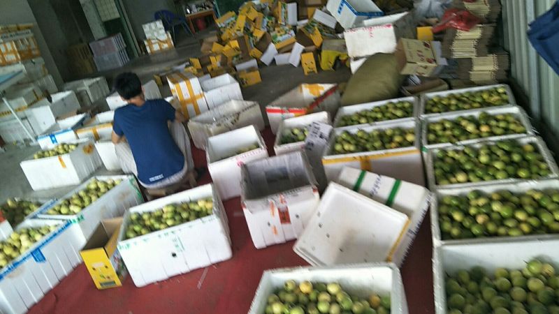 黄金百香果台湾黄金百香果