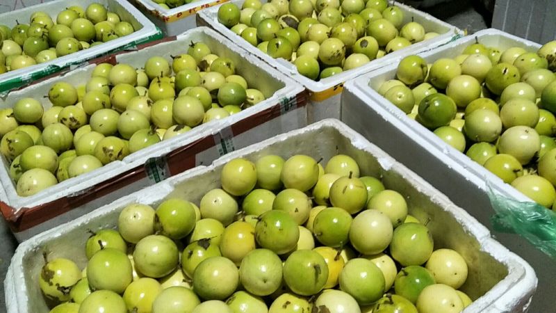 黄金百香果台湾黄金百香果