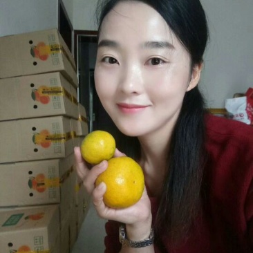 东江湖蜜橘果园看货采摘！又大又甜欢迎咨询订购