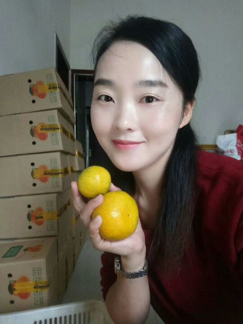 东江湖蜜橘果园看货采摘！又大又甜欢迎咨询订购