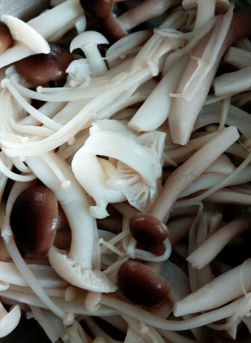 松蘑一级
