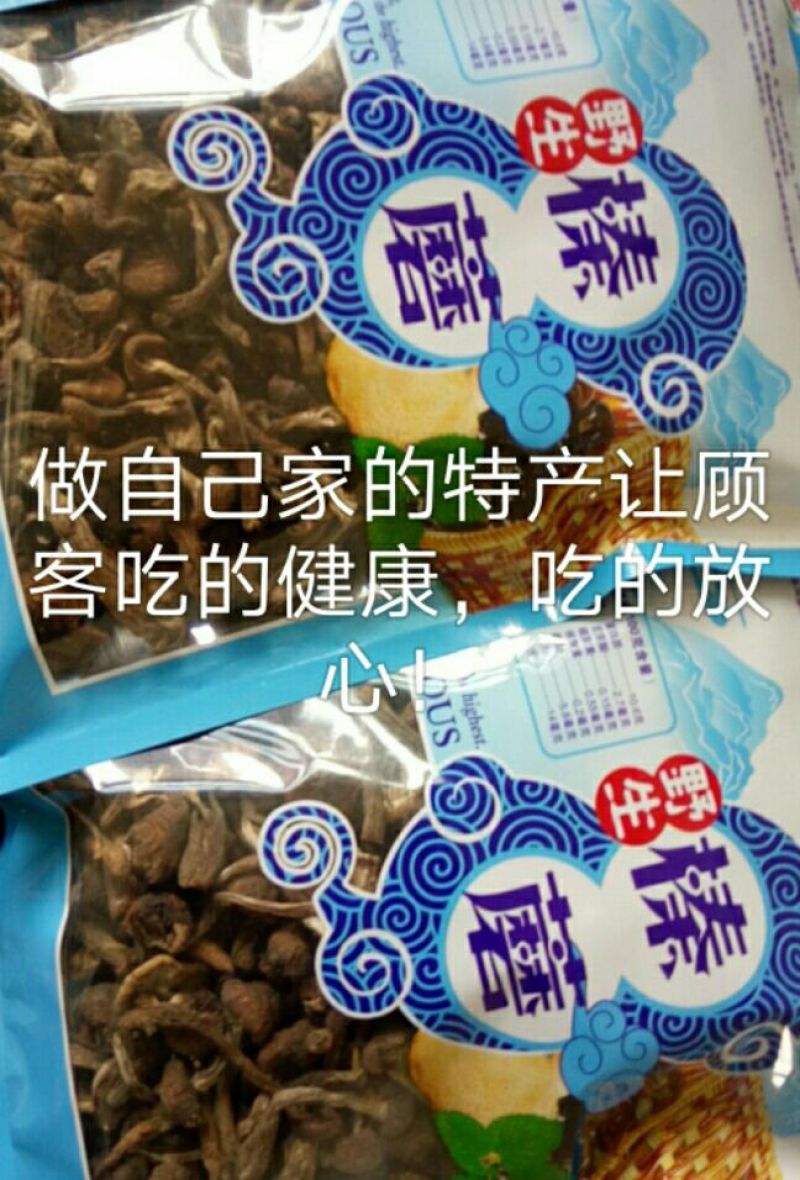 干榛蘑野生
