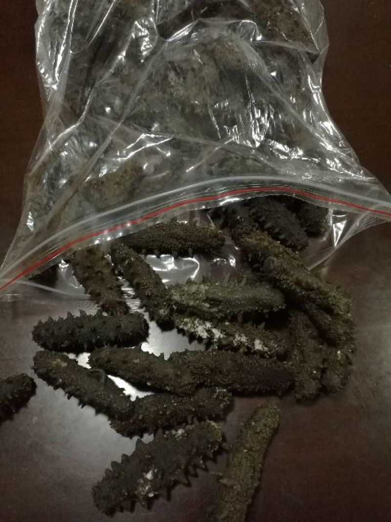 黑海参9元一个，量大批发！