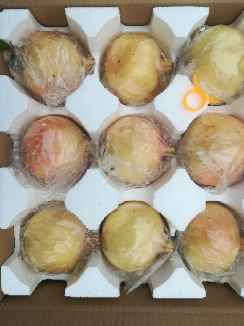 临潼石榴8两~1斤