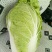 河北产地直发黄心菜白菜，北京三号菜，质优价廉