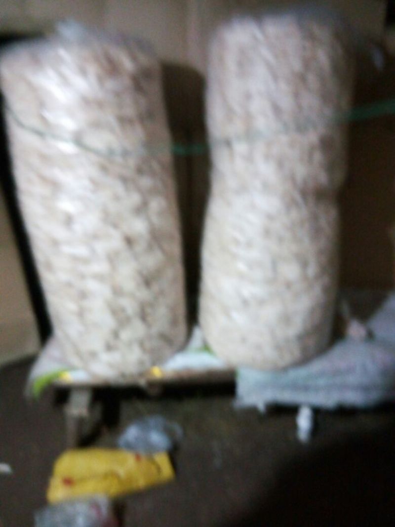长裙竹荪二级