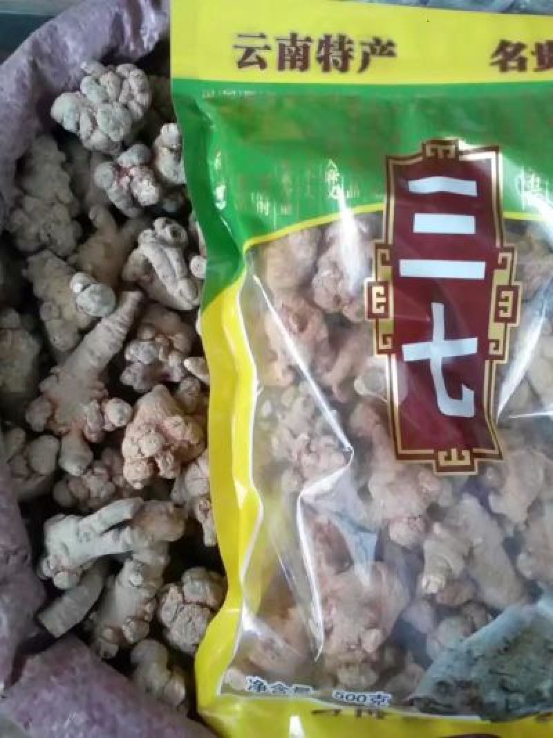 文山正品三七选货45头