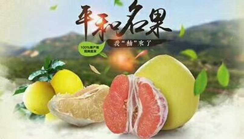 柚子红心白心柚沙田柚出售又大又甜，保质保量