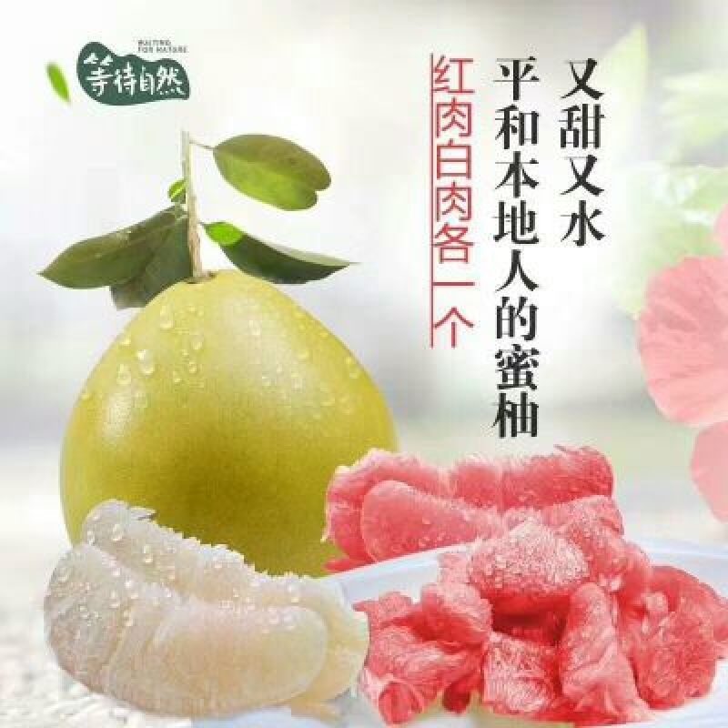 柚子红心白心柚沙田柚出售又大又甜，保质保量