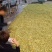 山西省运城市芮城县产地直销菊花茶特级一级