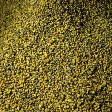 山西省运城市芮城县产地直销菊花茶特级一级