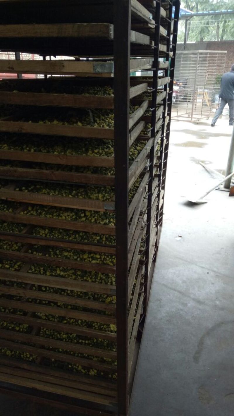 山西省运城市芮城县产地直销菊花茶特级一级