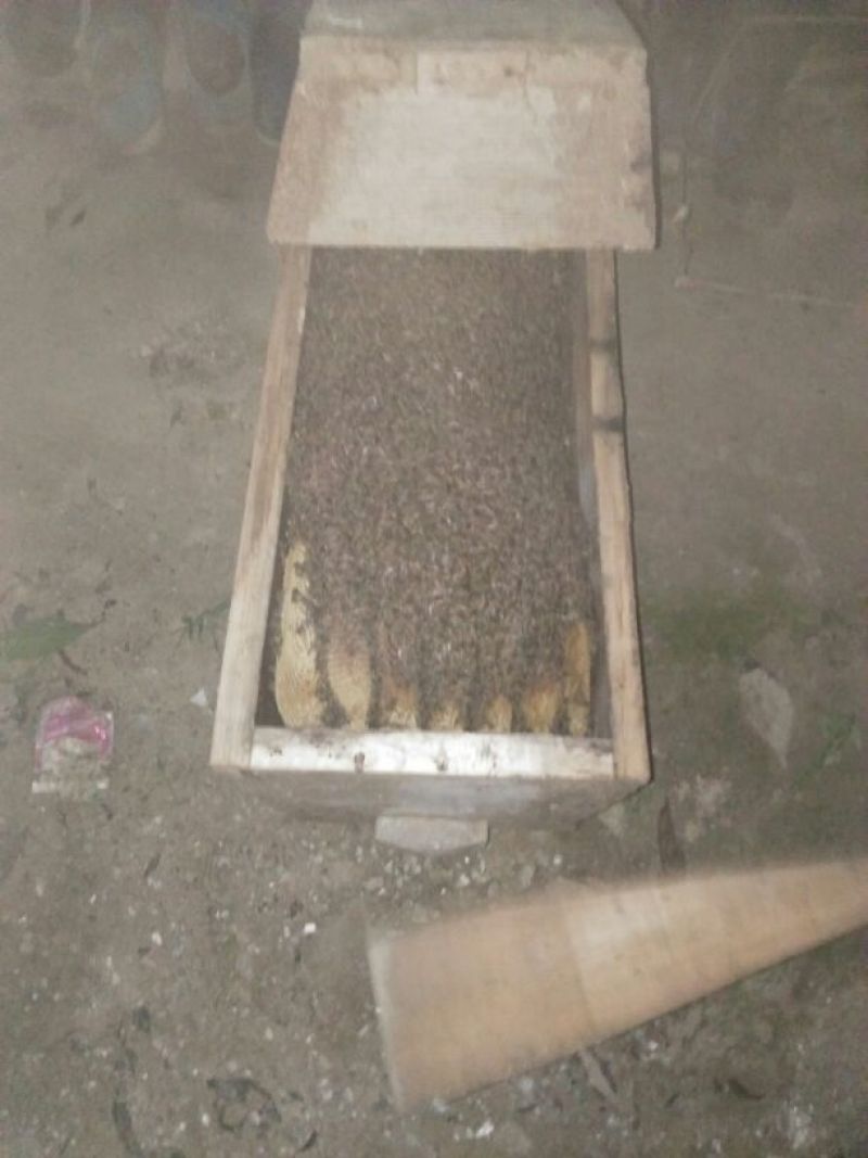陕西正宗土蜂蜜假一罚十野生药材花粉酿制制药美颜货源充足