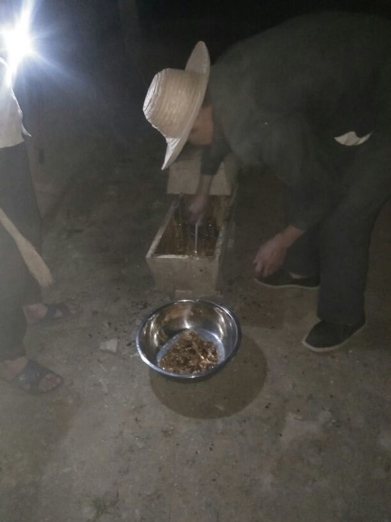 陕西正宗土蜂蜜假一罚十野生药材花粉酿制制药美颜货源充足