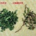 铁观音毛茶最原始的观音茶共2袋1000g包邮