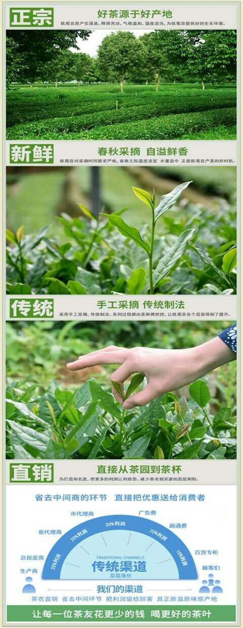铁观音毛茶最原始的观音茶共2袋1000g包邮
