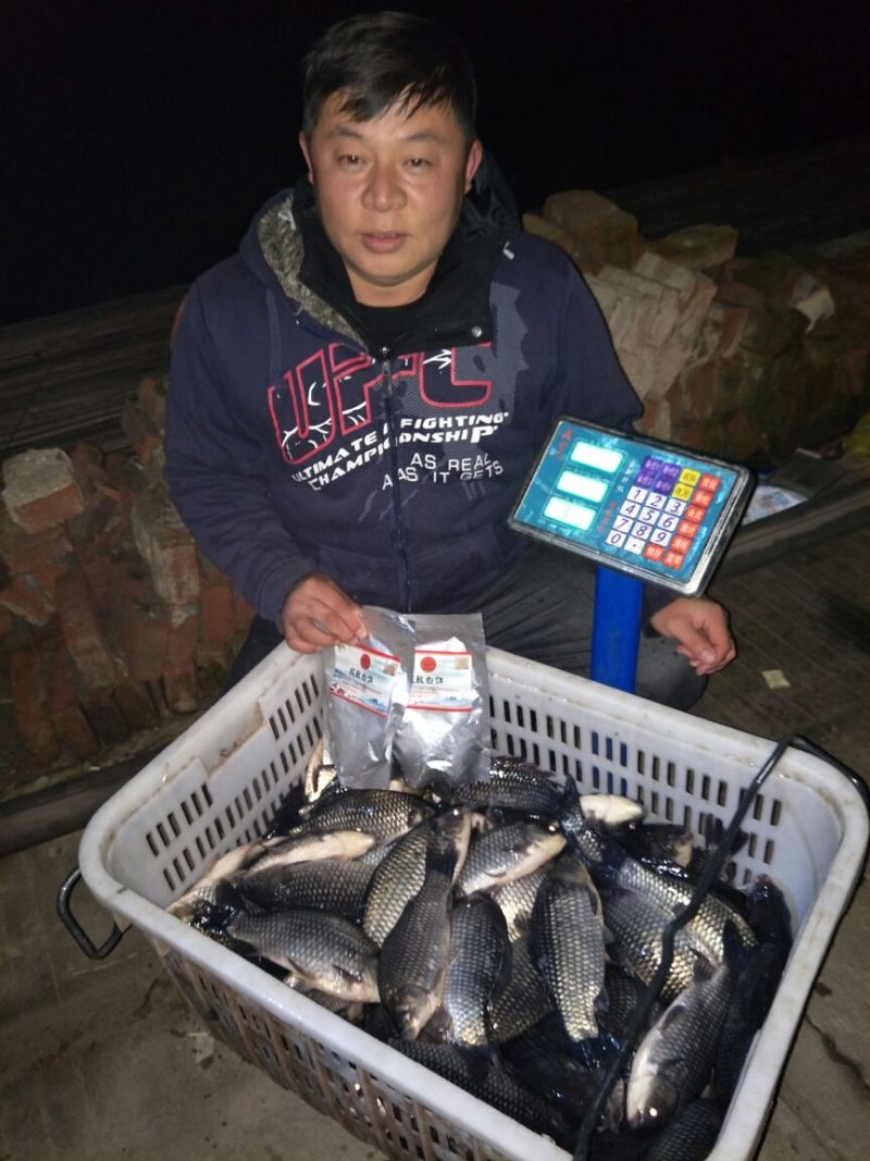 彭泽鲫垂钓
