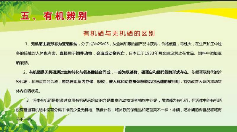 虾苗人工养殖大型3500亩基地，技术种苗大型养殖基地