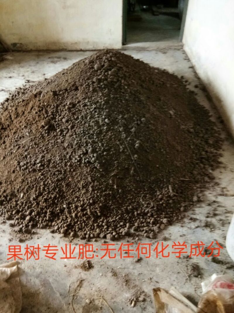 紫香一号60~70g紫果