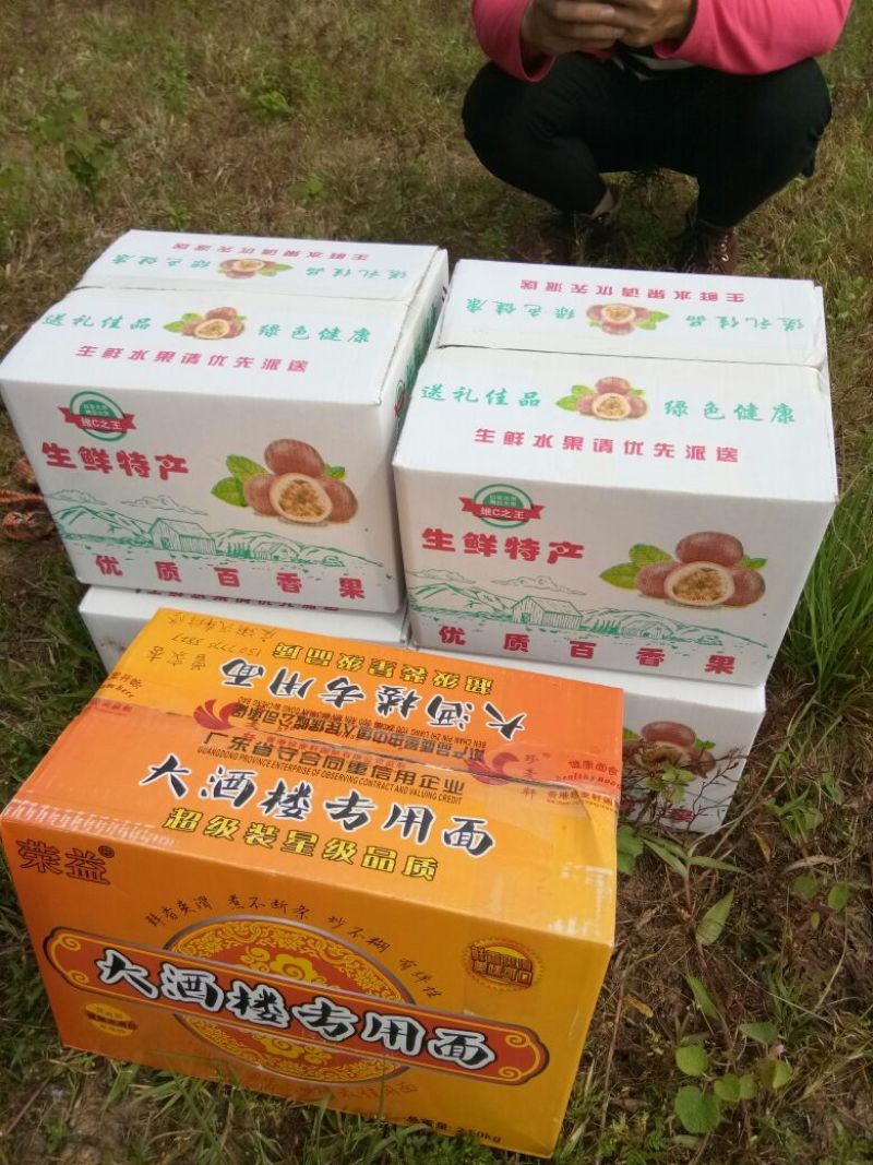 紫香一号60~70g紫果