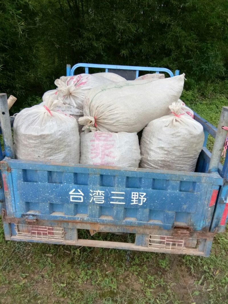 紫香一号60~70g紫果