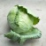 扁包菜1~2公斤精品
