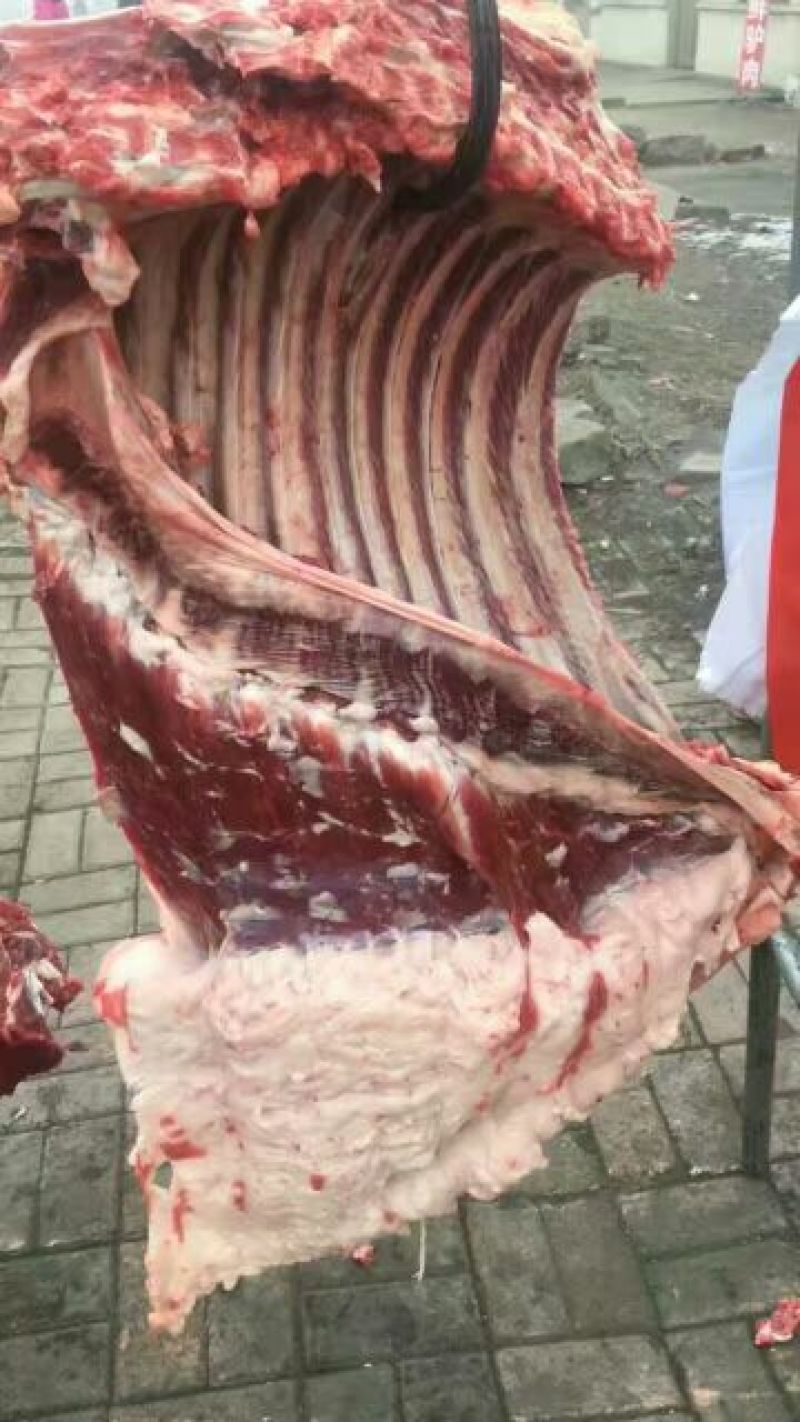 肉驴100~200斤