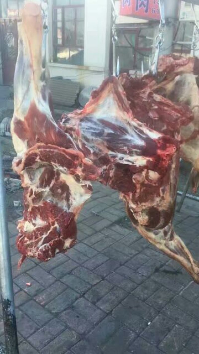 肉驴100~200斤
