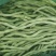 无筋豆20厘米以上，清秀，无虫无斑，现已大量上市