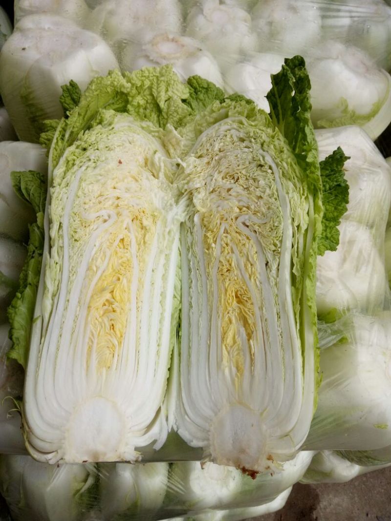 【春节特惠】大白菜北京3号白菜包装齐全直供商超代理