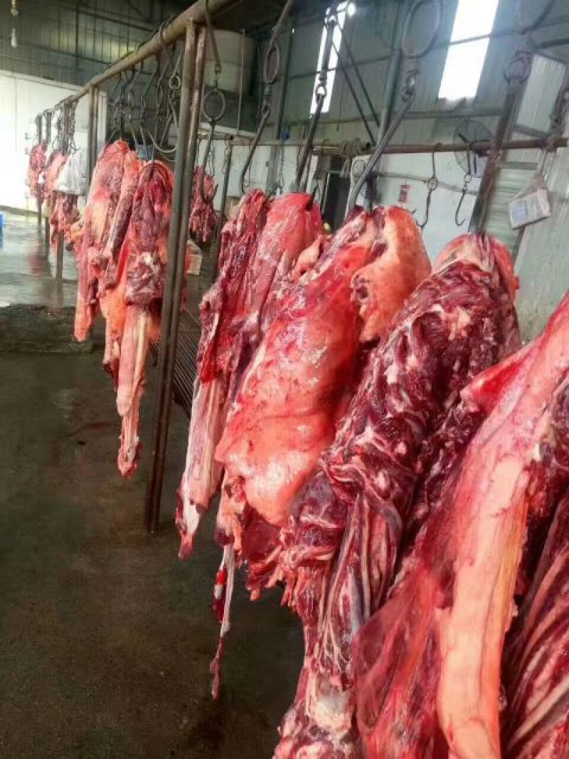 驴肉鲜货