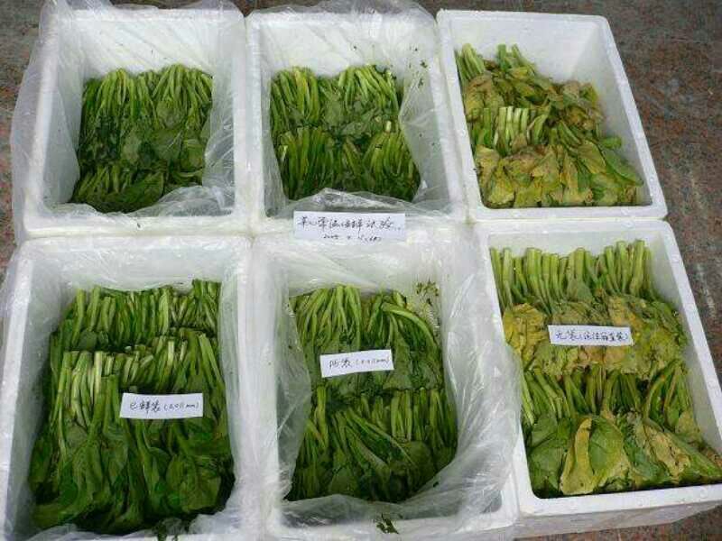 包装纸箱子内膜袋