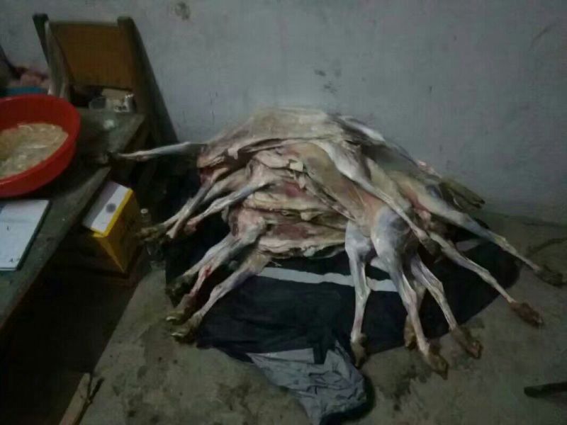 羊胴体否带骨山羊肉