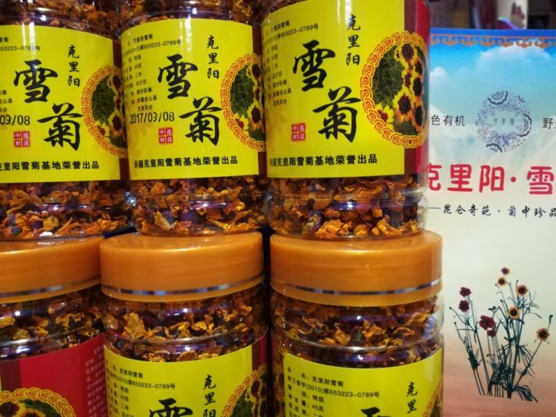 特级昆仑雪菊正宗新疆高海拔野生克里阳雪菊