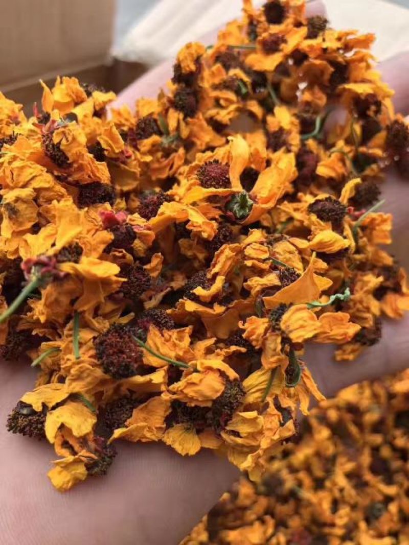 特级昆仑雪菊正宗新疆高海拔野生克里阳雪菊